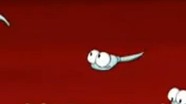 Sperma