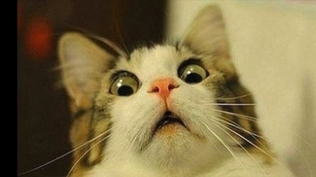 #ARGAVELL Argan Oil Shampoo Review ? смотреть онлайн