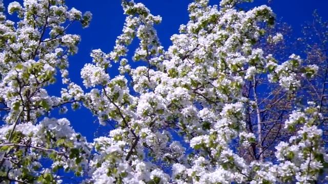 Ижевск. Центральная площадь. 2011-05-17