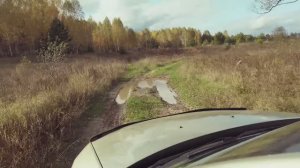 Выводы от поездки в Мичуринск.  Высаживаю саженцы в своем ЛПХ в  Рязанской области