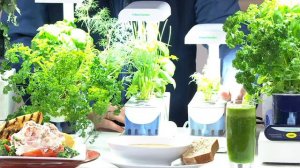 Miracle-Gro AeroGarden Sprout 3-Pod Garden with Herb Seed Kit on QVC