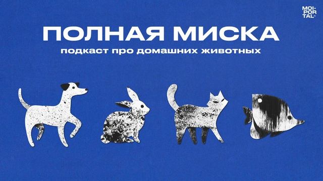 Полная миска | Декорация или зверь?