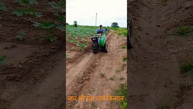 जय श्री राम जय किसान #news #किसान #किसीदिनबनुंगीराजाकीरानी #viral #ytshorts