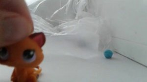 Lps:распоковка лпс котят