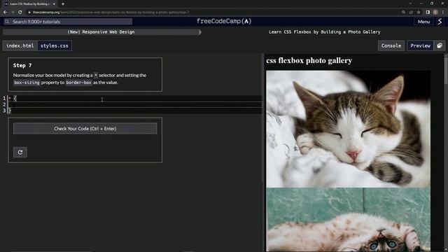 (ARCHIVED) | freeCodeCamp (New) Responsive Web Design   -  Building a Photo Gallery: Step 7