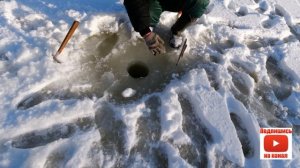 Рыбалка на хапуги. Испытание своих хапужек.