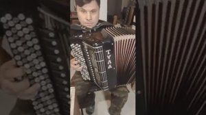 баян Тула 401