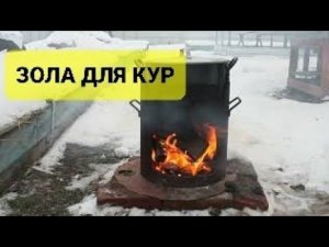 ПРАВИЛЬНАЯ ЗОЛА ДЛЯ КУР.