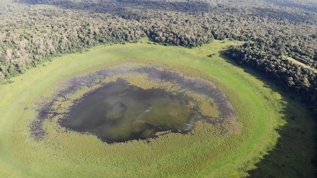 Mountain Lake Forest. Lake Paradise Marsabit National Park Kenya. Second largest Crater Lake. Hikin смотреть онлайн