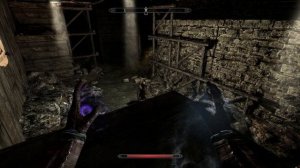 Enderal s 75 Слепой шахтер ? Не такой уж и слепой!