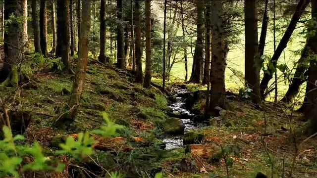 Медитация "Река творчества" смотреть онлайн