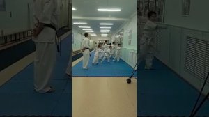 я сдаю на 10 кю Каратэ Киокушинкай