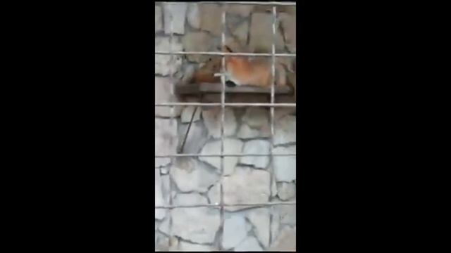 - Сидим скучаем? Будет солнышко, повеселитесь! - Are we sitting bored? It will be sunny, have fun! смотреть онлайн