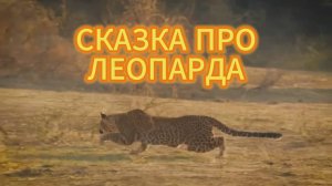 Сказка про ЛЕОПАРДА