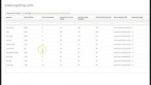 Introducing Market Share by Authoritas: the data science-driven SEO software platform