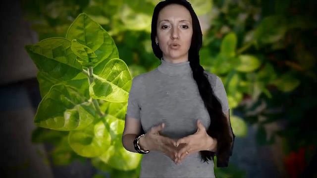 Каперсы