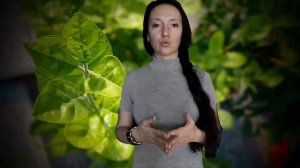 Каперсы