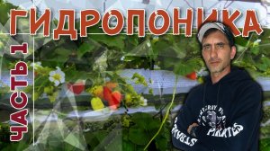 "Работы по гидропонике" часть 1