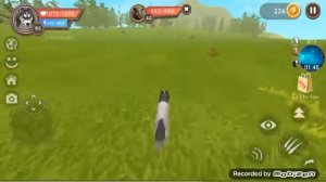 Что будет если играть в WildCraft в 3:00 ночи???😉 Всё это враньё??😲