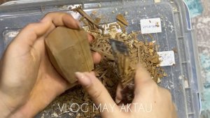 Орские глины ( ЯШМА, КАРАМЕЛЬ, БИСКВИТ) asmr clay чистим глину релакс резка глины