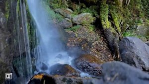 Я укреплю тебя, и помогу тебе, и поддержу тебя _ Библия перед сном _ Relaxing