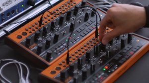 BEHRINGER CRAVE - synth jam / the first contact