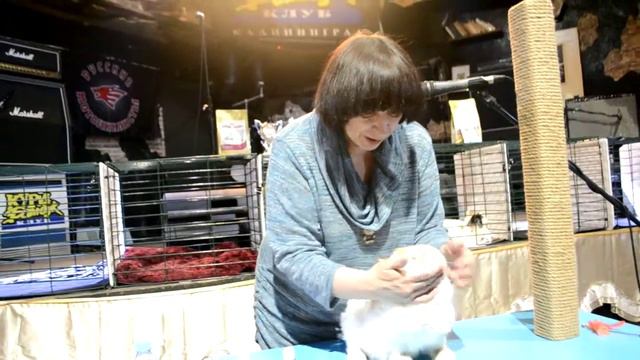 Выставка АССАЛЮКС 6 МАРТА смотреть онлайн