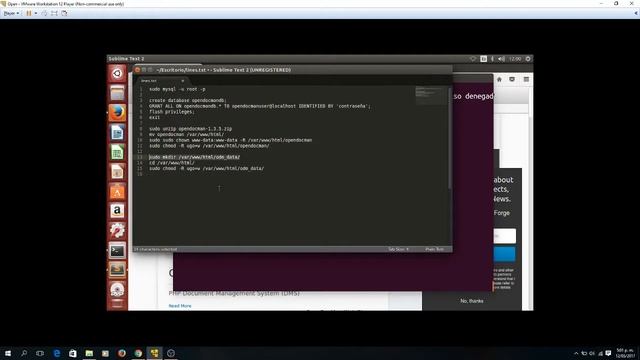 Instalación y configuración OpenDocMan смотреть онлайн