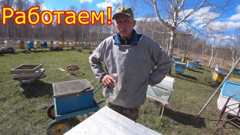 РАБОТАЕМ с СЕМЬЯМИ! ОБСТАНОВКА на пасеке!