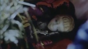 Живи в волшебном ящичке - Разлученные