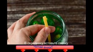 Свежие огурцы на зиму