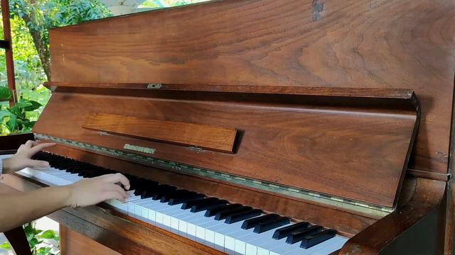 Stone Ocean Theme - JoJo's Bizarre Adventure Part 6: Stone Ocean (Piano Cover) смотреть онлайн