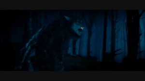 Favourite Werewolf Transformation - High Quality!