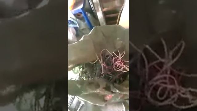 сдали Металлолом + медь +алюминий и картон смотреть онлайн