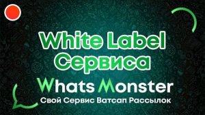 Как запустить свой сервис Ватсап рассылок - White Label сервиса WhatsMonster