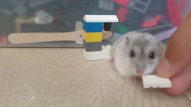 Как сделать кофемашину и шкаф из лего смотреть онлайн