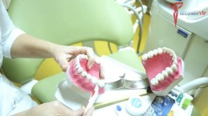 Как правильно чистить зубы. Зубной ершик.