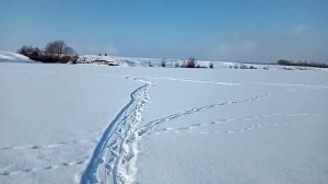 Чудесный тихий февральский день. Пруд в Каменном Овраге. Неверкинский район.