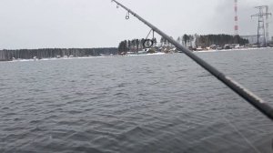 Судак на Рефтинском водохранилище. Тест HR Zander Game XT 762ML