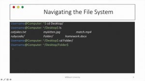 Master the Terminal in 30 Minutes