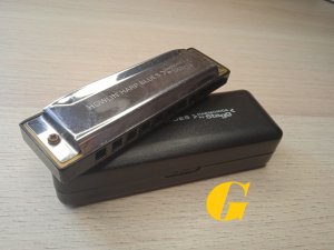 Stagg Howling Harp G-major (russian review) Обзор гармошки за 300 рублей