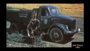 "СТОЯТ БЕРЁЗОНЬКИ" - Е.Полубелов - автор песни и клипа А.Бабенко