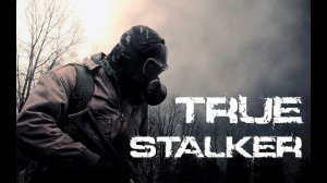 True Stalker | Передача кейса