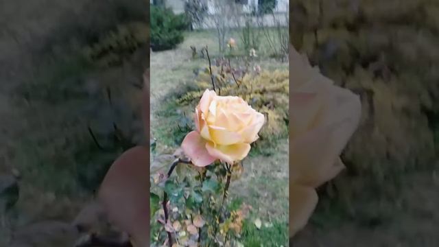 МЕЧЕТЬ В КРЫМУ, БАХЧИСАРАЙ смотреть онлайн