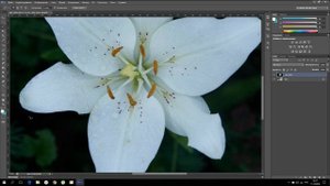 У8 как в фотошопе вырезать объект и вставить на другой фон (Photoshop)