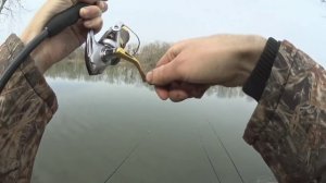 Поехал ловить на фидер,а наловил карася на силиконовые приманки.