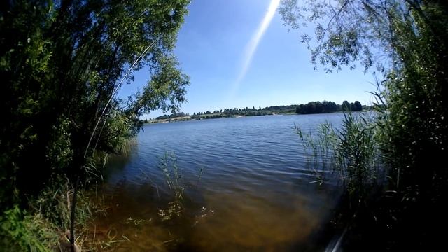 ✅ Калининград, летняя рыбалка. "Озерки". Окушок и щучка на блесну Mepps и микроколебалки.