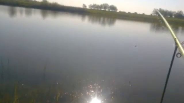 Летняя рыбалка на удочку Затон Шыган Павлодарская область смотреть онлайн