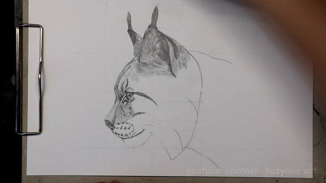 Как нарисовать голову Рыси.Часть 2. Прорисовка шерсти и прочих деталей.