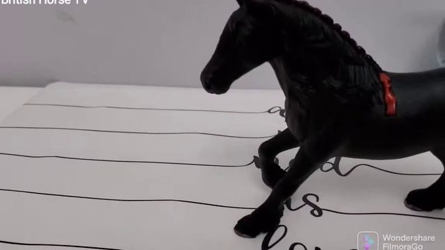 Обзор на фризкую кобылу от фирмы Derri animals смотреть онлайн